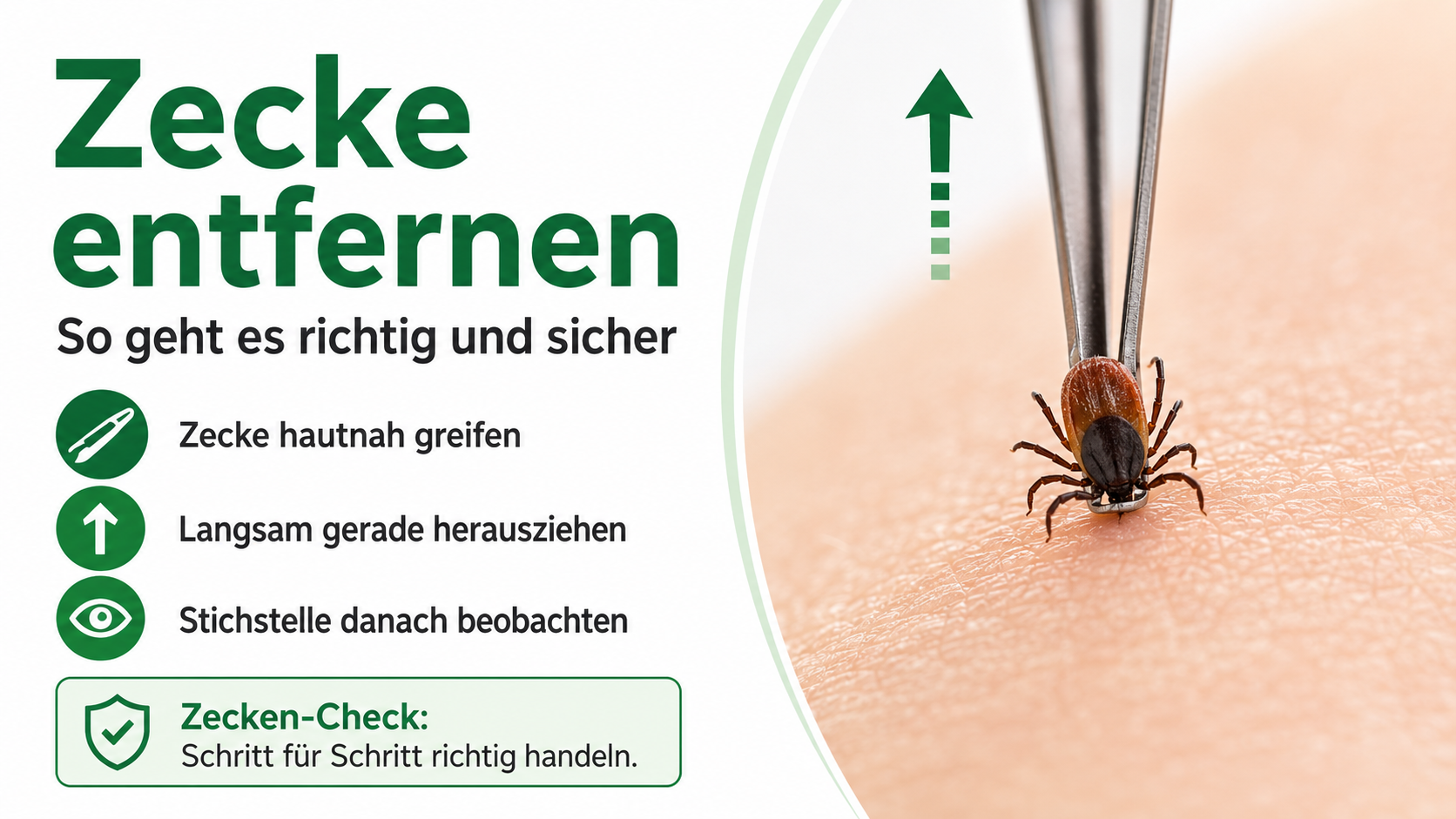 Zecke entfernen